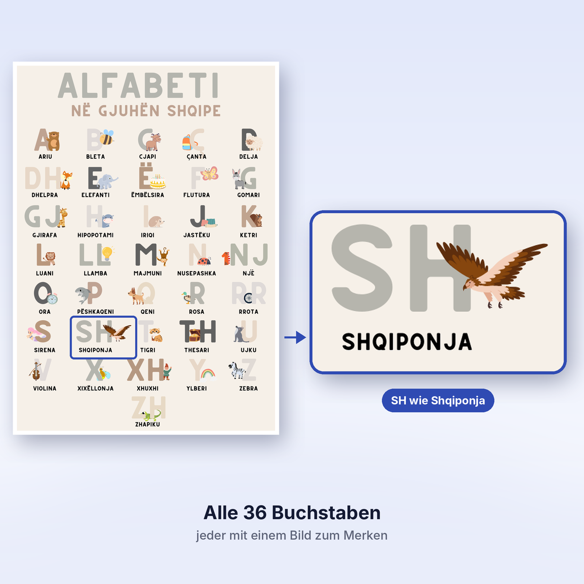 Albanisch Lernen Set