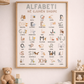 Poster- Set: Albanisch Lernen